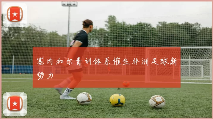 塞内加尔青训体系催生非洲足球新势力