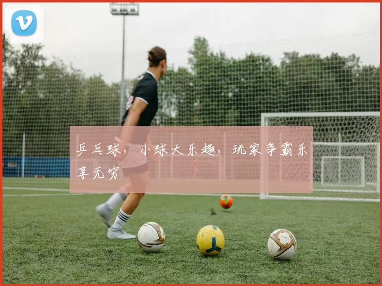 乒乓球，小球大乐趣，玩家争霸乐享无穷